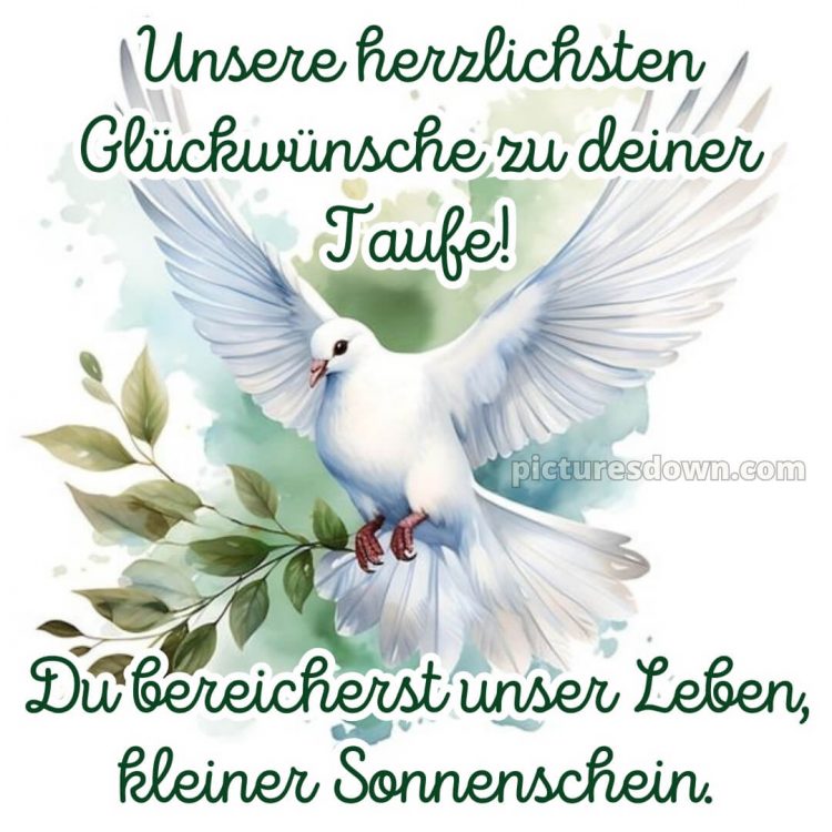 Glückwünsche zur taufe karte bild Vogel kostenlos