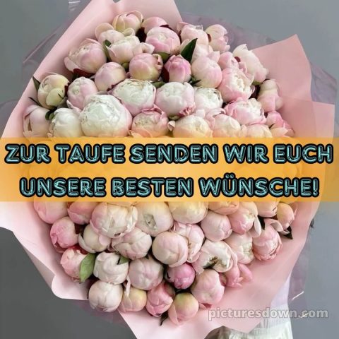 Glückwünsche zur Taufe modern kostenlos bild Päonien kostenlos