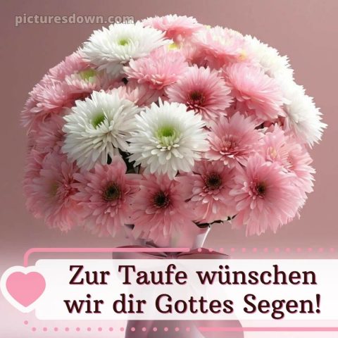 Glückwünsche zur Taufe modern kostenlos bild Chrysanthemen kostenlos