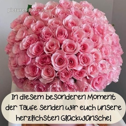 Glückwünsche zur Taufe modern kostenlos bild Rosen kostenlos