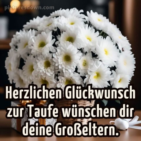 Glückwünsche zur Taufe von den Großeltern modern bild weiße Blumen kostenlos
