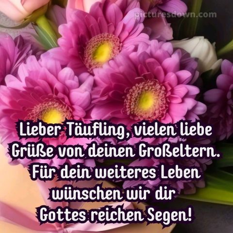 Glückwünsche zur Taufe von den Großeltern modern bild Blumen kostenlos