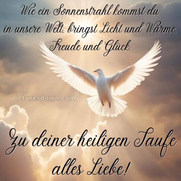 Glückwünsche zur Taufe von den Großeltern modern bild Taube kostenlos