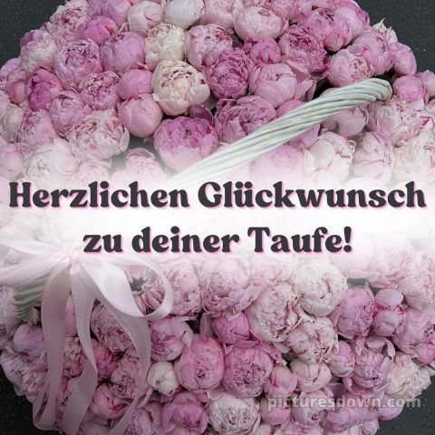 Glückwünsche zur taufe von oma und opa bild Pfingstrosen kostenlos