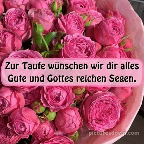 Glückwünsche zur taufe von oma und opa bild Päonien kostenlos