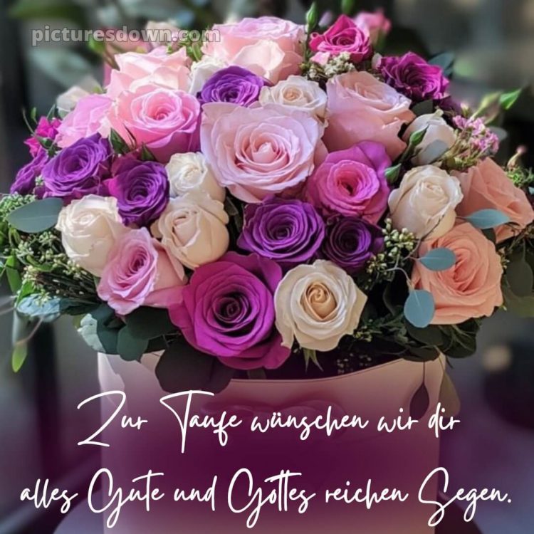 Glückwünsche zur taufe von oma und opa bild Blumen kostenlos