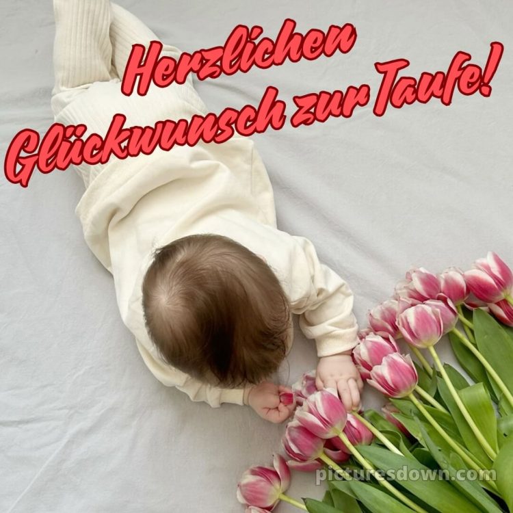 Glückwünsche zur taufe von oma und opa bild Tulpen kostenlos
