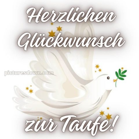 Glückwünsche zur Taufe von Paten bild Taube kostenlos