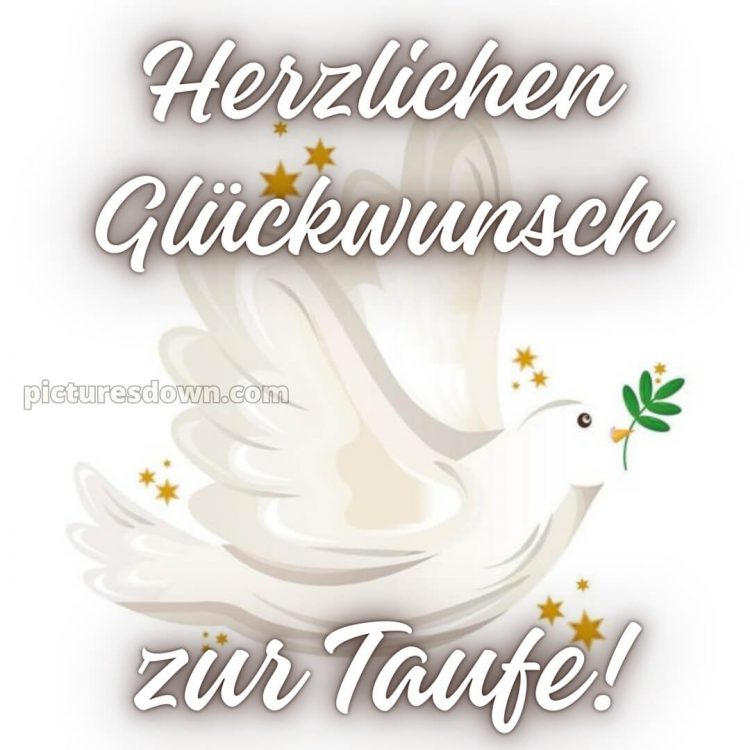 Glückwünsche zur Taufe von Paten bild Taube kostenlos