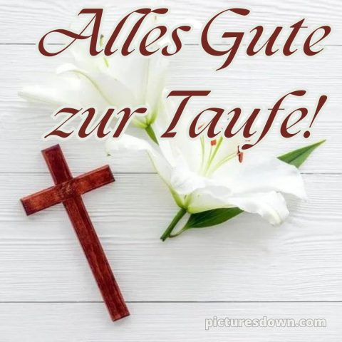 Glückwünsche zur Taufe von Paten bild weiße Blume kostenlos