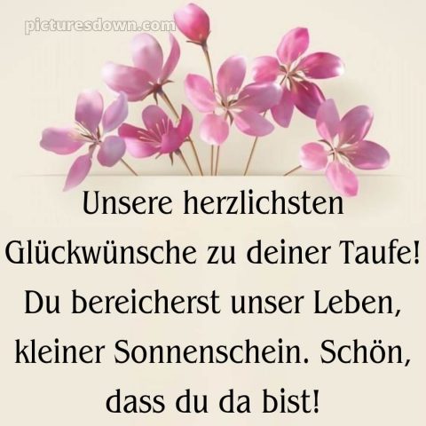 Glückwünsche zur Taufe von Paten bild Blumen kostenlos