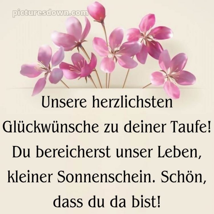 Glückwünsche zur Taufe von Paten bild Blumen kostenlos