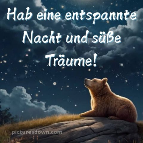Gute nacht bilder bild Bär kostenlos