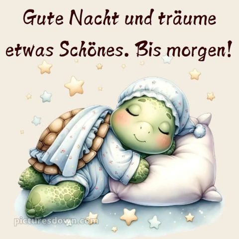 Gute nacht bilder für whatsapp bild Schildkröte kostenlos