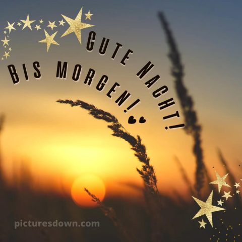 Gute nacht bilder für whatsapp bild Sonnenuntergang kostenlos