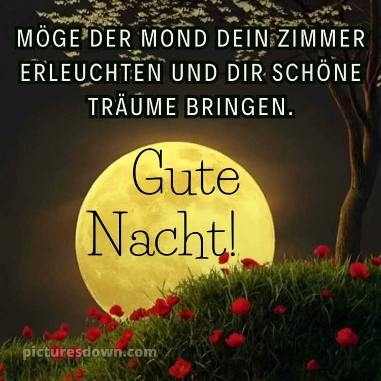 Gute nacht bilder für whatsapp bild Blumen kostenlos