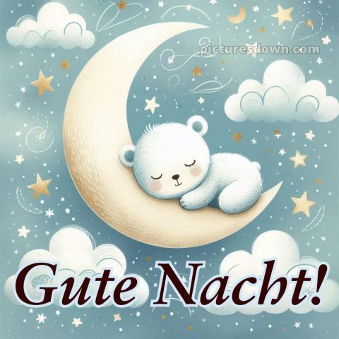 Gute nacht bilder kostenlos bild Bär kostenlos