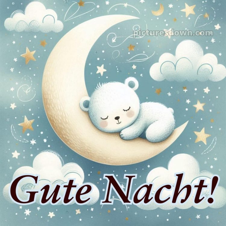 Gute nacht bilder kostenlos bild Bär kostenlos