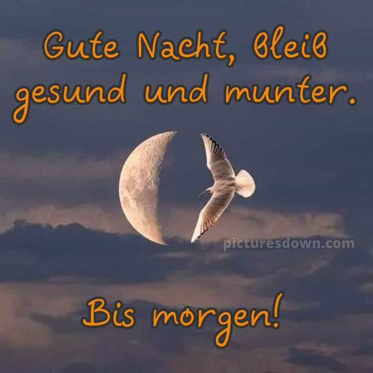 Gute nacht bilder kostenlos bild Himmel kostenlos