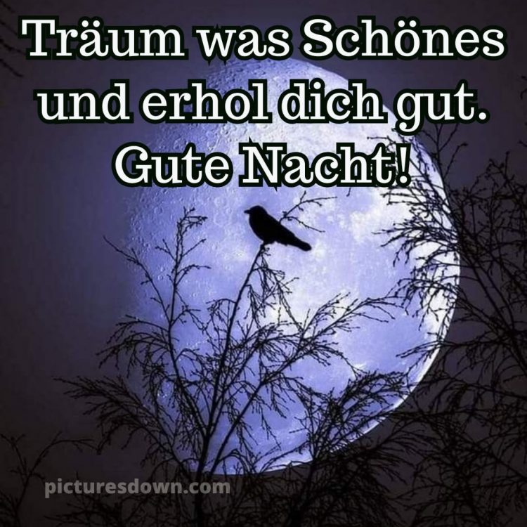 Gute nacht bilder kostenlos bild Bäume kostenlos