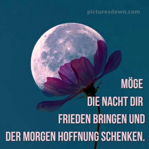 Gute nacht bilder kostenlos bild Blume kostenlos