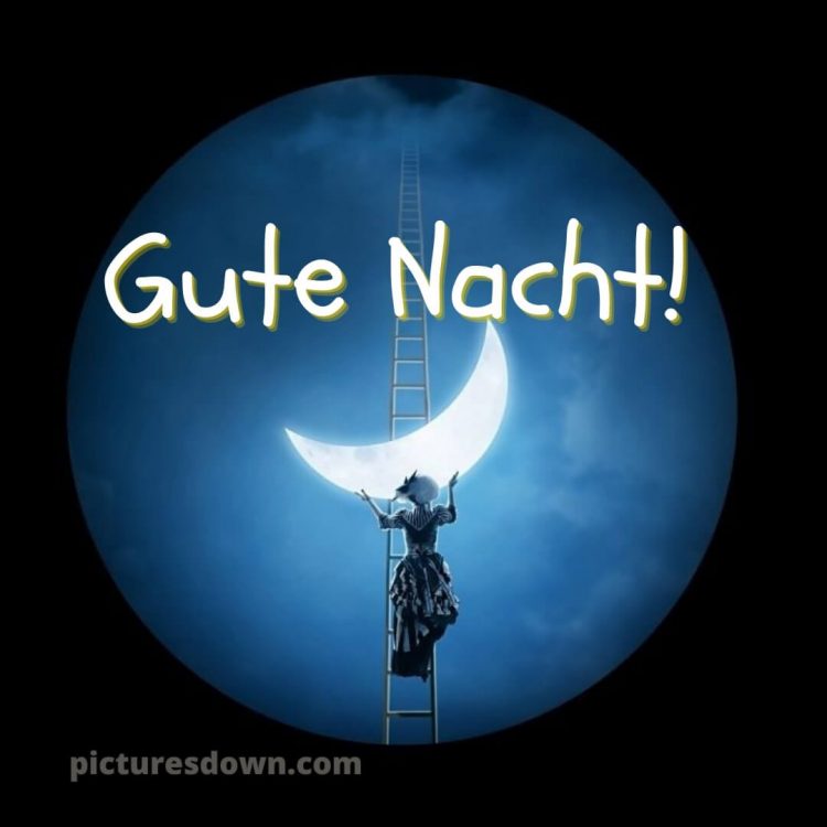 Gute nacht bilder kostenlos bild Leiter kostenlos