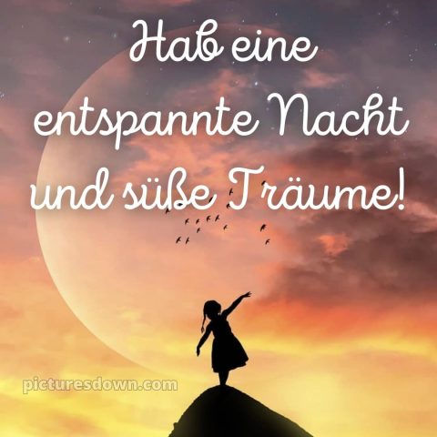 Gute nacht bilder neu bild Vögel kostenlos