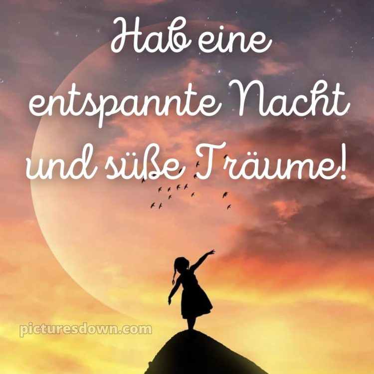 Gute nacht bilder neu bild Vögel kostenlos