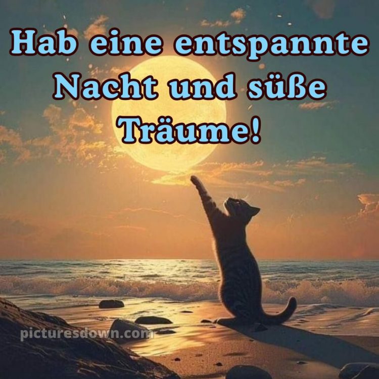 Gute nacht bilder neu bild Meer kostenlos