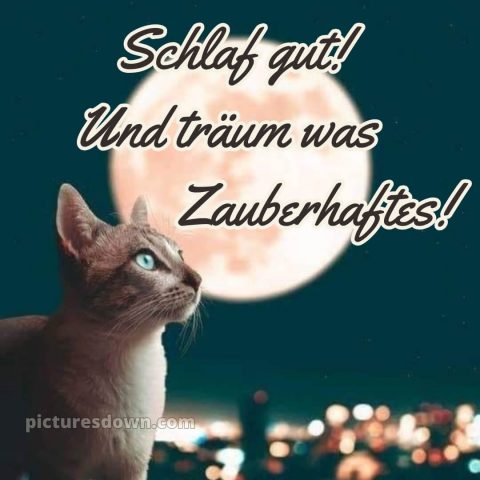 Gute nacht bilder neu bild Mond kostenlos