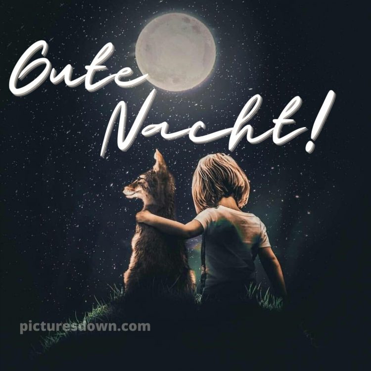 Gute nacht bilder neu bild Nacht kostenlos