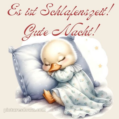 Guten abend gute nacht bilder kostenlos bild Entenküken kostenlos
