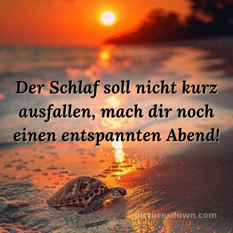Guten abend gute nacht bilder kostenlos bild Schildkröte kostenlos