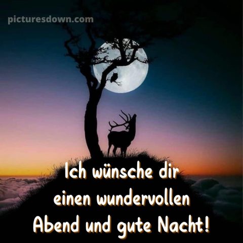 Guten abend gute nacht bilder kostenlos bild Baum kostenlos