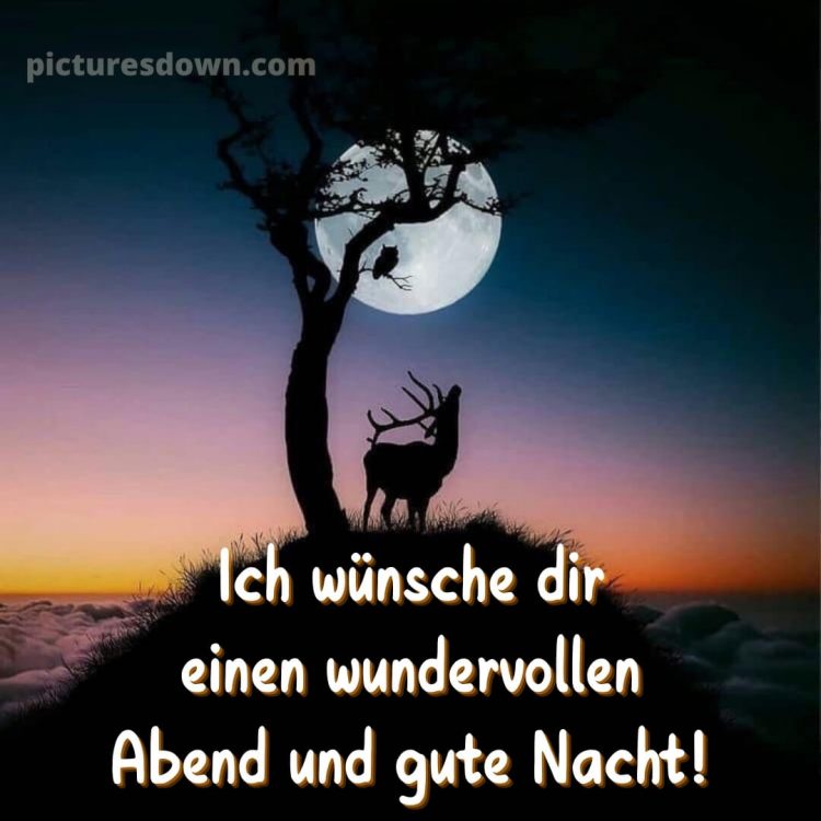 Guten abend gute nacht bilder kostenlos bild Baum kostenlos
