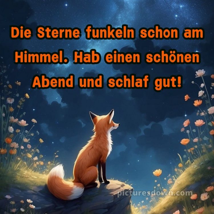 Guten abend gute nacht bilder kostenlos bild Fuchs kostenlos