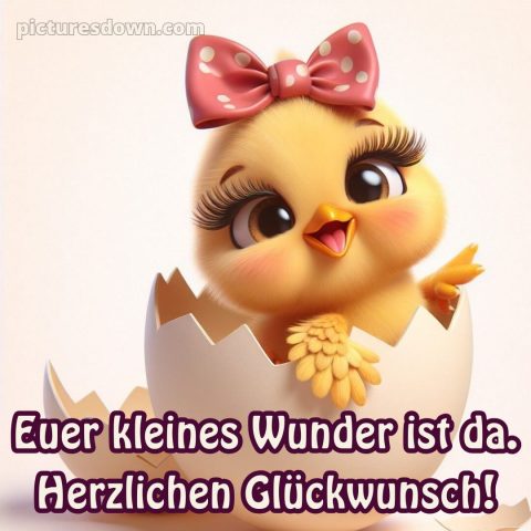 Liebevolle glückwünsche zur geburt bild Küken kostenlos