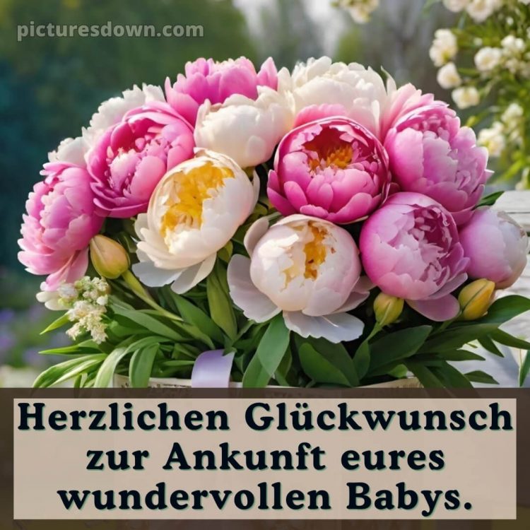 Liebevolle glückwünsche zur geburt bild Bouquet kostenlos