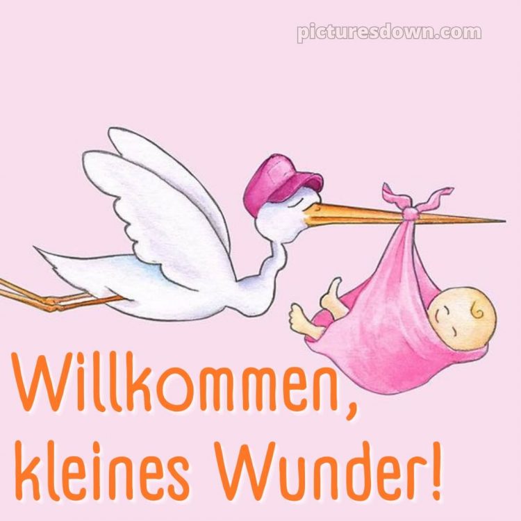 Liebevolle glückwünsche zur geburt kurz bild Storch kostenlos
