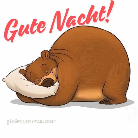 Lustig schönen abend und gute nacht bilder bild Bär kostenlos