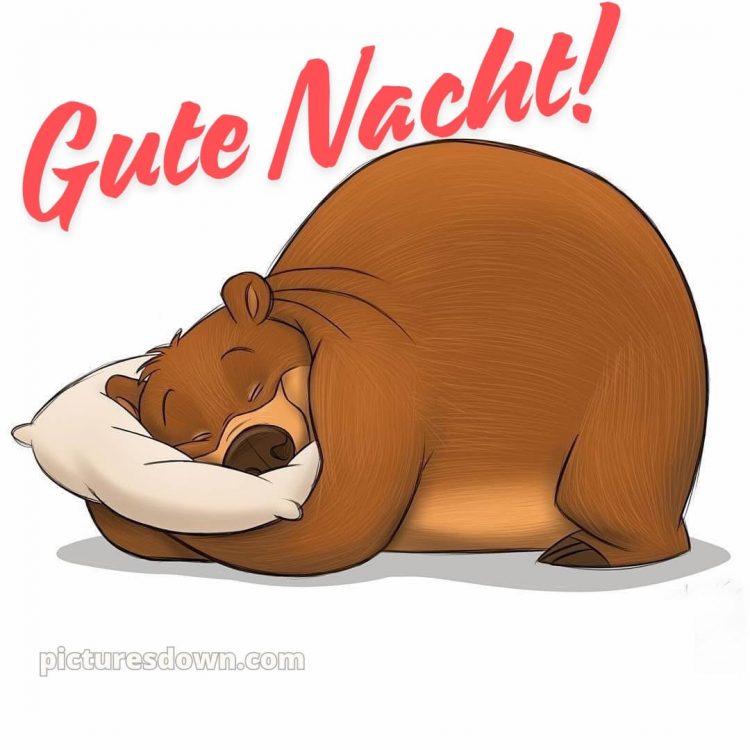 Lustig schönen abend und gute nacht bilder bild Bär kostenlos