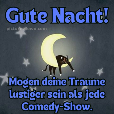 Lustig schönen abend und gute nacht bilder bild Katze kostenlos
