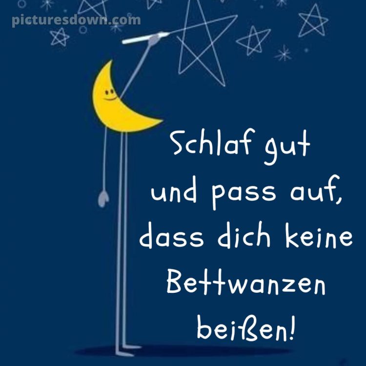 Lustig schönen abend und gute nacht bilder bild Sterne kostenlos