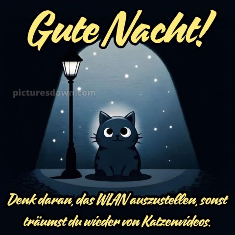 Lustig schönen abend und gute nacht bilder bild Laterne kostenlos