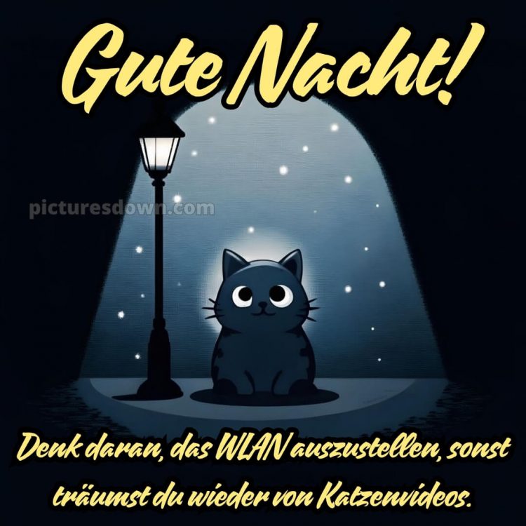 Lustig schönen abend und gute nacht bilder bild Laterne kostenlos