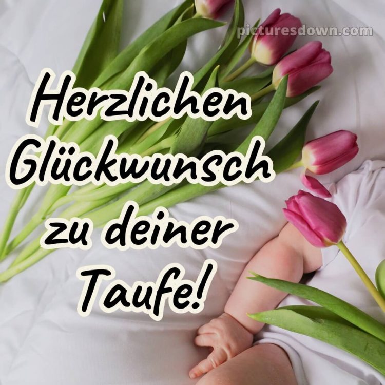 Oma enkel glückwünsche zur taufe von den großeltern bild Tulpen kostenlos