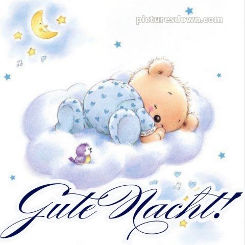 Schönen abend und später eine gute nacht bilder kostenlos whatsapp bild Vogel kostenlos