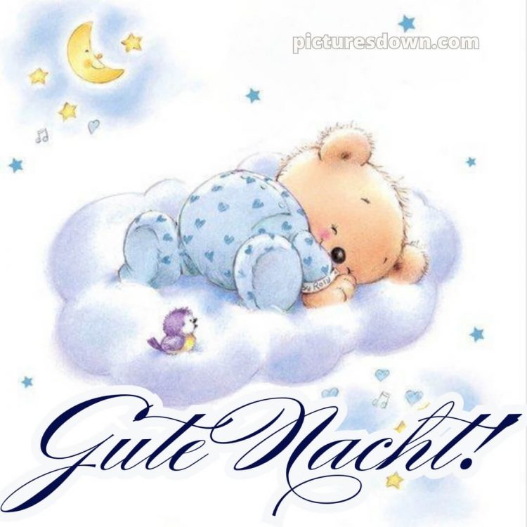 Schönen abend und später eine gute nacht bilder kostenlos whatsapp bild Vogel kostenlos