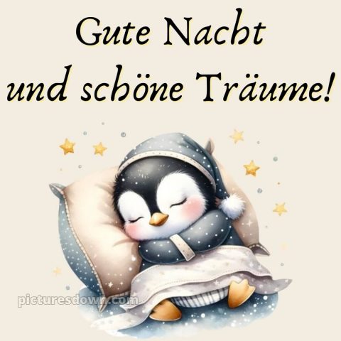 Schönen abend und später eine gute nacht bilder kostenlos whatsapp bild Pinguin kostenlos