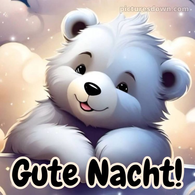 Schönen abend und später eine gute nacht bilder kostenlos whatsapp bild Eisbär kostenlos